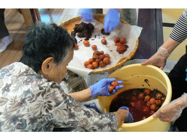 梅干を漬けている様子
