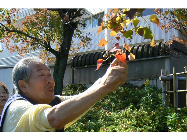 身近な秋を収穫しました！