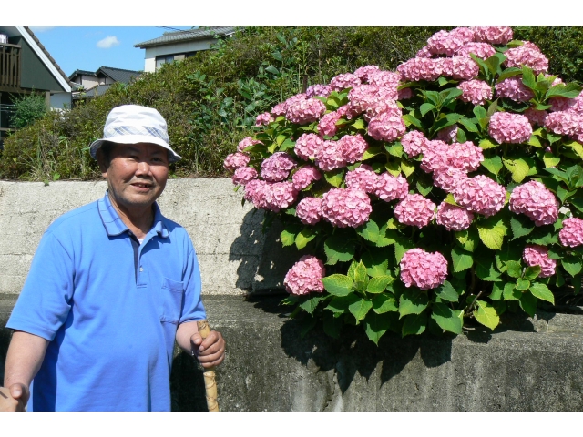 歩いている姿を妻に見せなきゃ