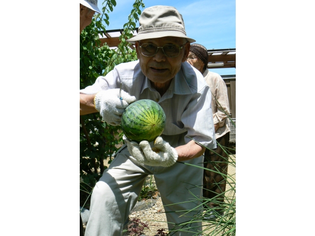 こんな小玉でも美味しいんだよ