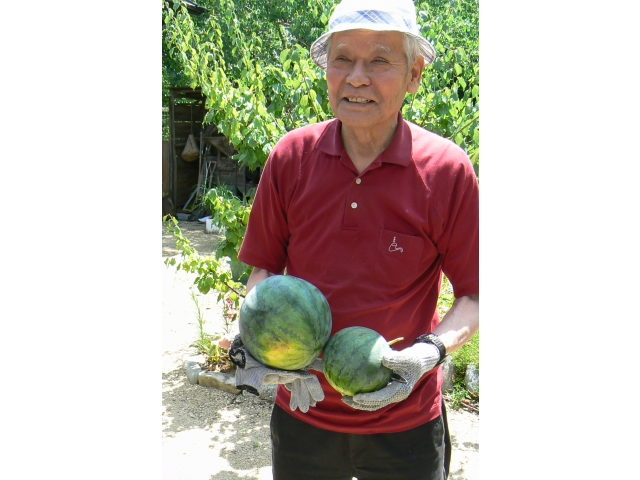 今年は沢山取れるね