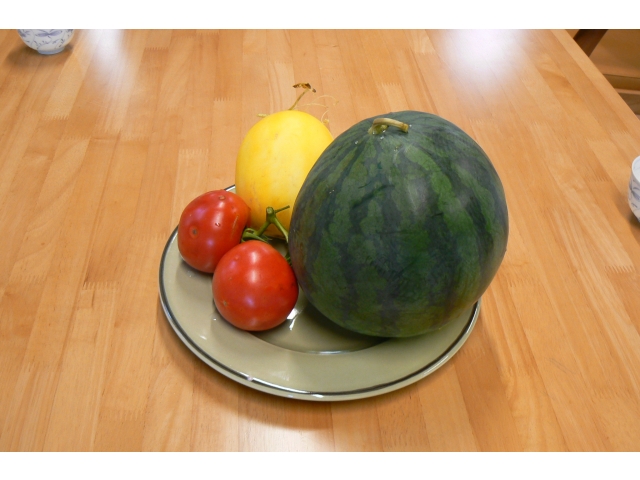 東郷庵の夏野菜