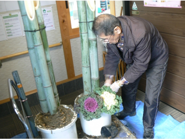 飾り付けをして