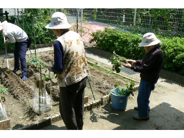 みんなで協力しています。