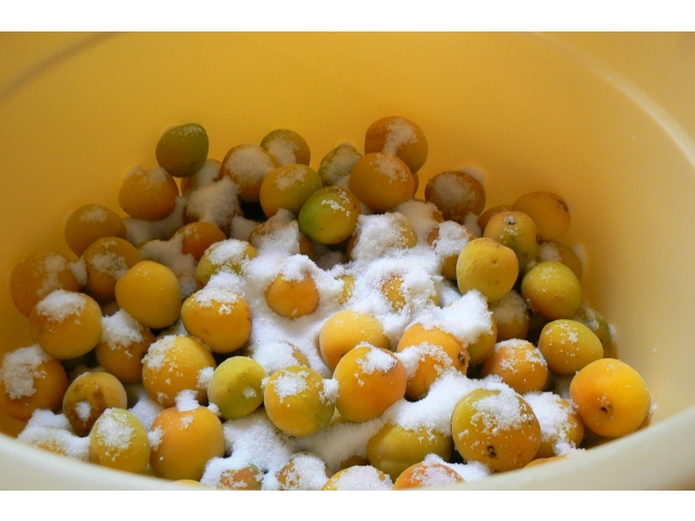 梅と塩を交互に入れます