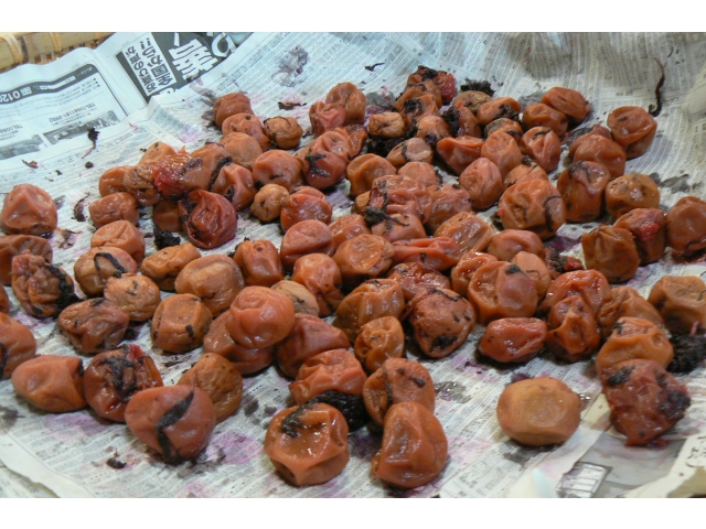 梅雨が明けてやっと干すことができました☀