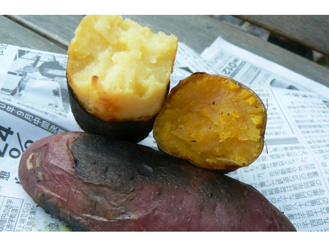ホクホクでとても甘い焼き芋でした♪