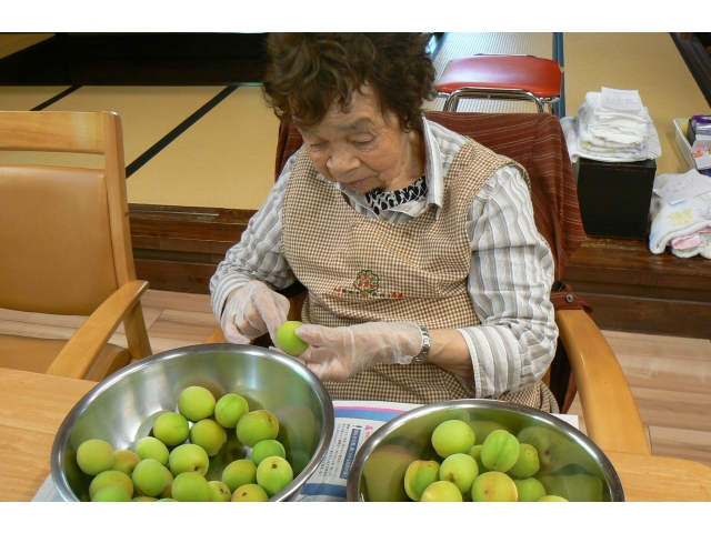 梅のヘタ取りも
お願いしました！