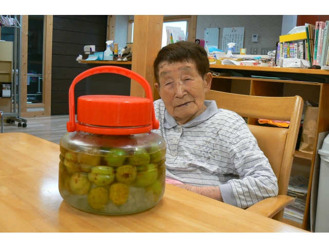 梅シロップを作りました♪