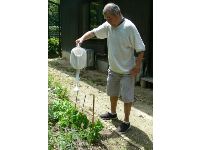 夏野菜も着々と
成長しています♪
