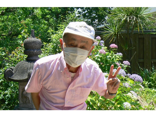 中庭の紫陽花が満開に
なりました❁