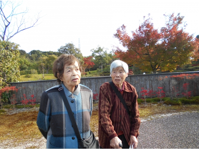 綺麗な庭園を散策♪