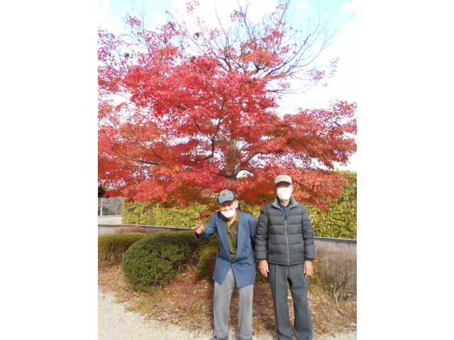 紅葉も素敵でした🍁