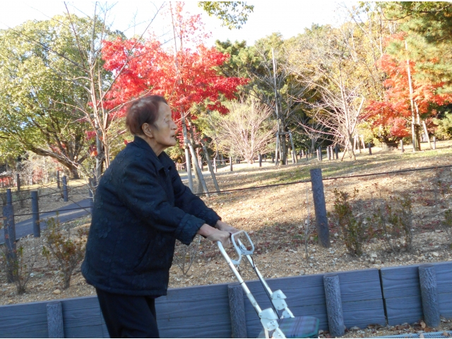 紅葉も綺麗でした♪