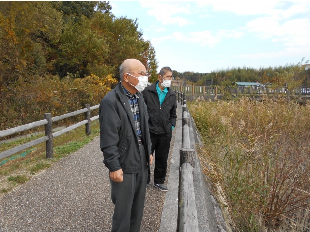 勅使池では様々な鳥が池で泳いでいました！