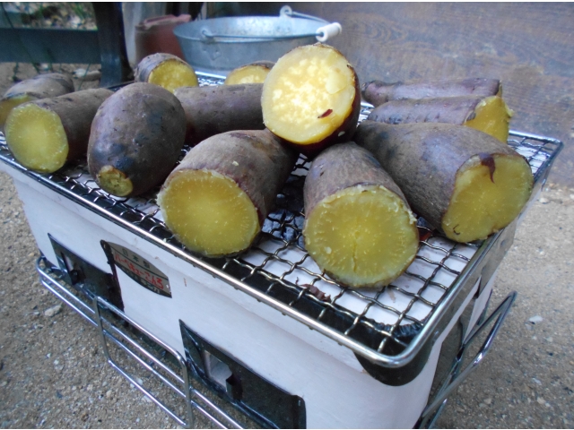 蒸したさつま芋を七輪で焼いていきます☆