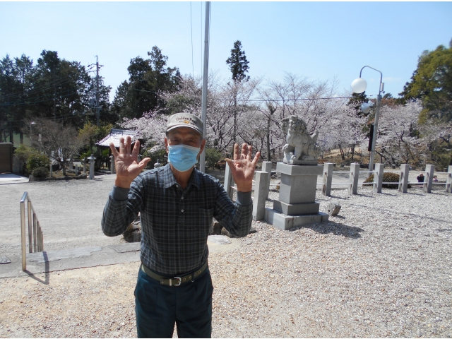 浅間神社も満開でした♪