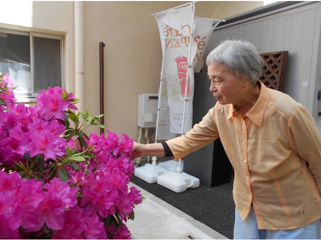 ツツジも満開🌸