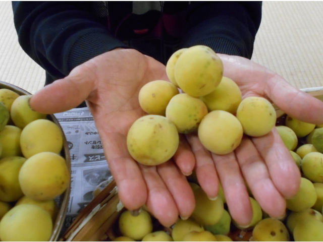 とってもいい香りです🌸