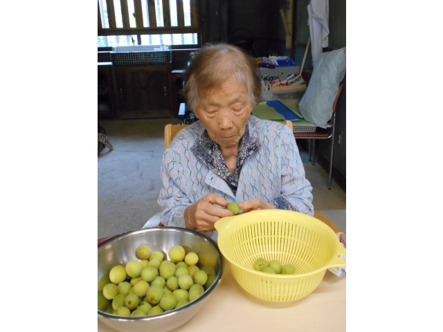 梅のヘタ取りをします！！