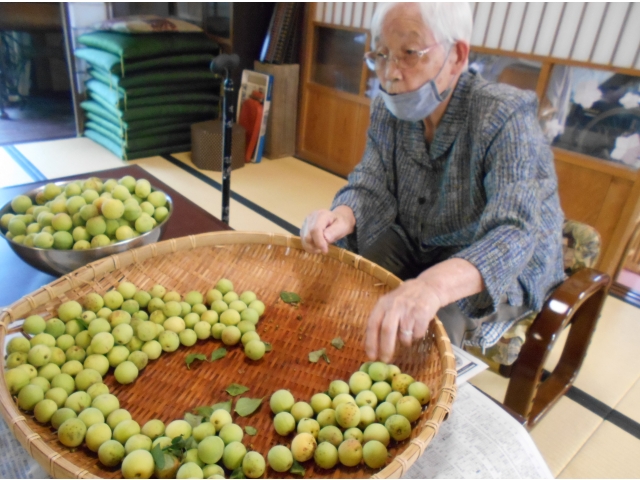 皆でやればあっという間にヘタ取り完了です☆