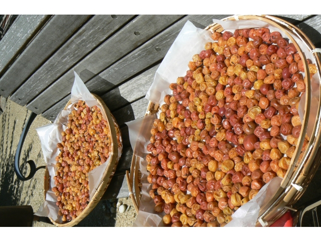 とってもいい天気☀土用干し日和です♪