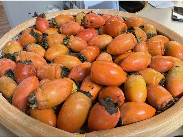 たくさんの柿をいただきました！！