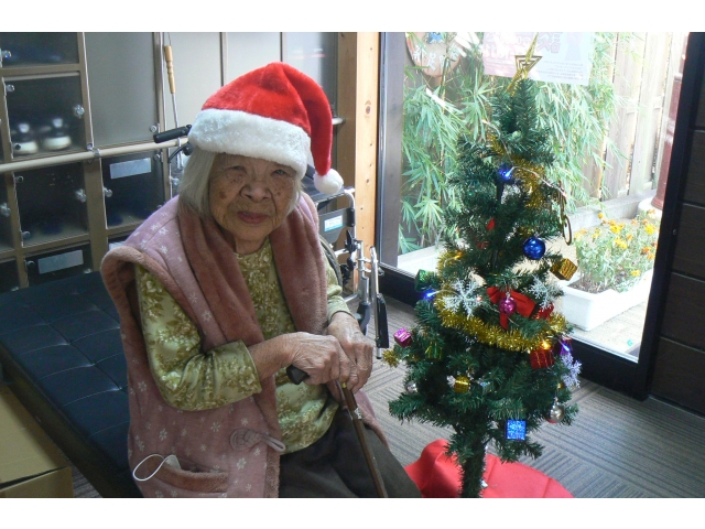 ツリーを飾るといっきにクリスマスらしい雰囲気になりますね☺