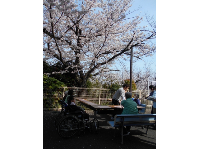 桜が満開だったので外でおやつをいただきました♪