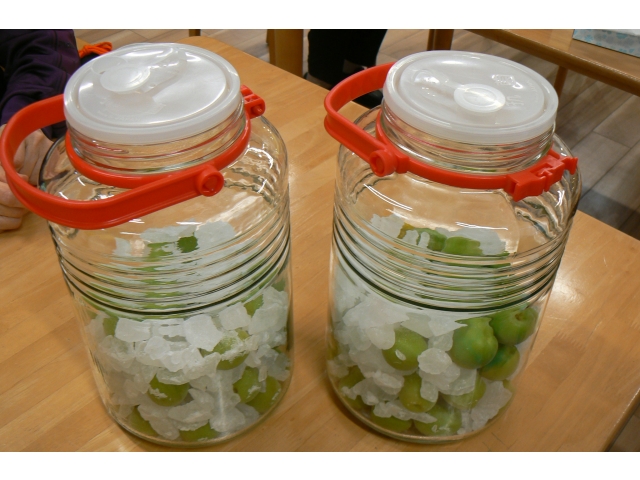 氷砂糖と梅を交互に瓶に入れます！！