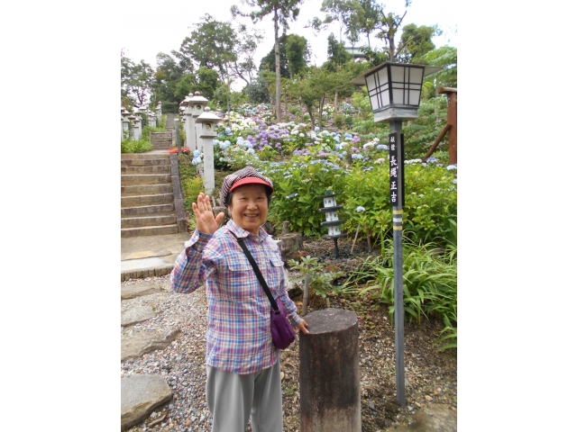 紫陽花が満開で綺麗でした☆