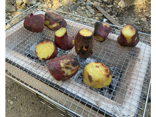 美味しそうに焼けました💗