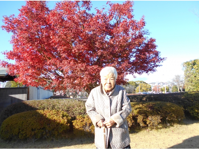 とてもいい天気でした☀