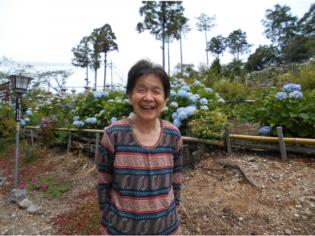 綺麗に咲いているね～！！