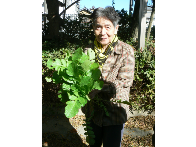 たくさん収穫できました♪