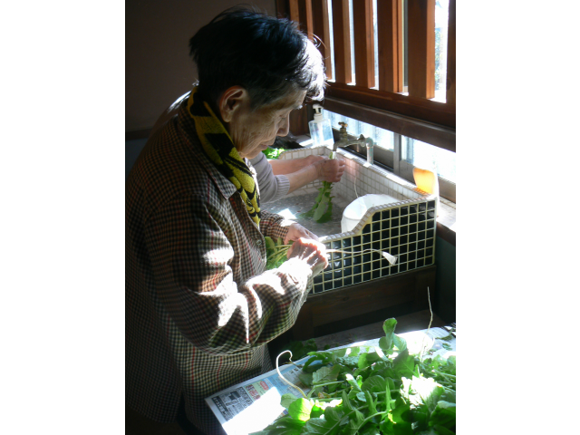 綺麗に洗って.。o○