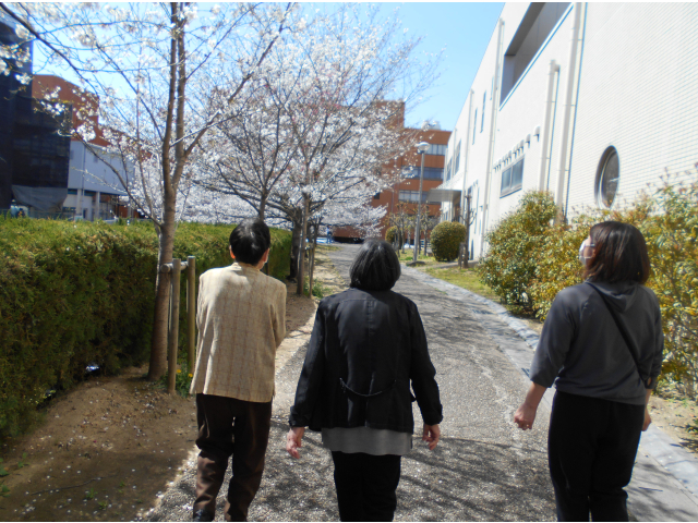 いこまい館は川沿いに桜が満開でした。