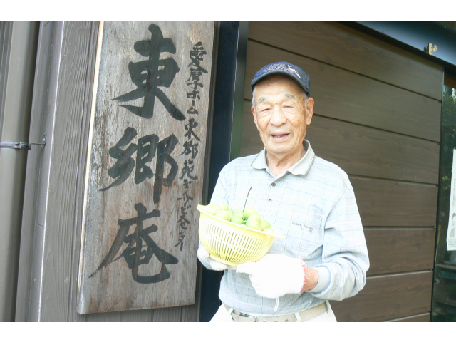 梅を収穫しました！