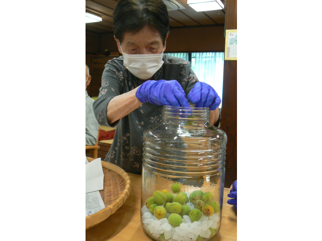 瓶に氷砂糖と梅を交互に詰めます。