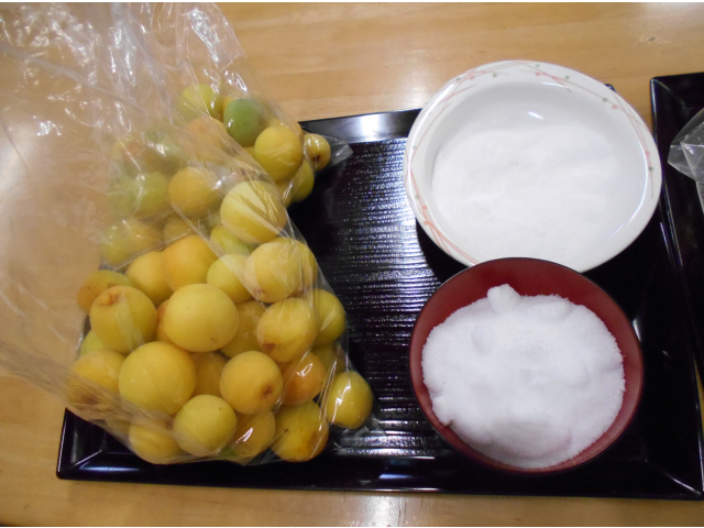 熟した梅と塩で梅干しを作ります