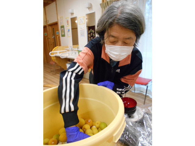 消毒した容器に塩と梅を入れます。