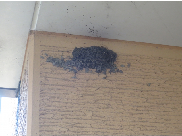 もうじき完成です