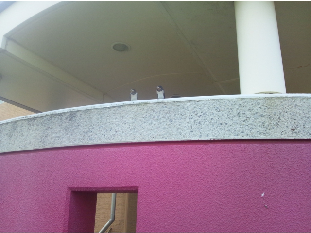 仲良く並んで・・元気でね