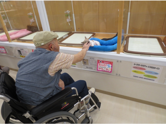 「かわいい」と大喜び