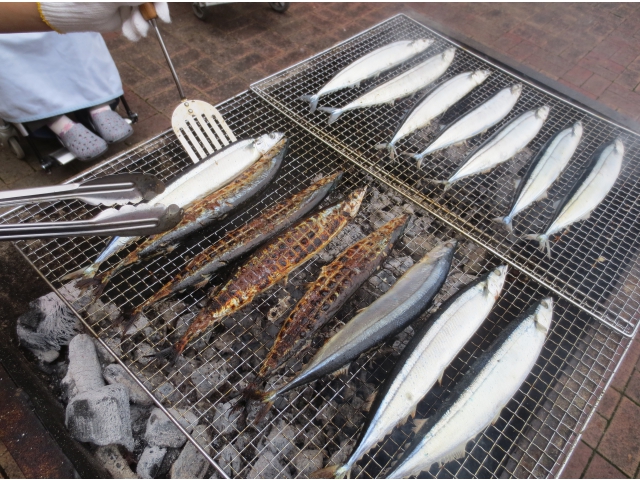 いい具合です。