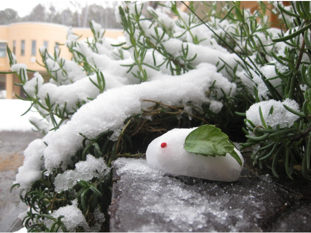 こちらには、
「雪うさぎ（8分音符）」