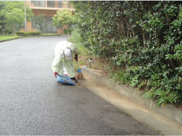 みなさん熱心に拾ってくれています。