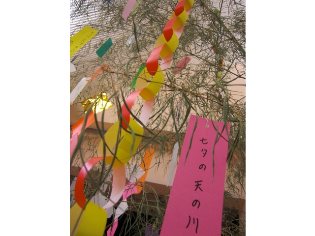 利用者様と職員がつくった
短冊と笹飾り