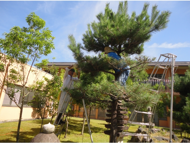 日差しがまぶしい