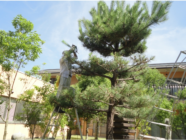 なかなか手ごわい